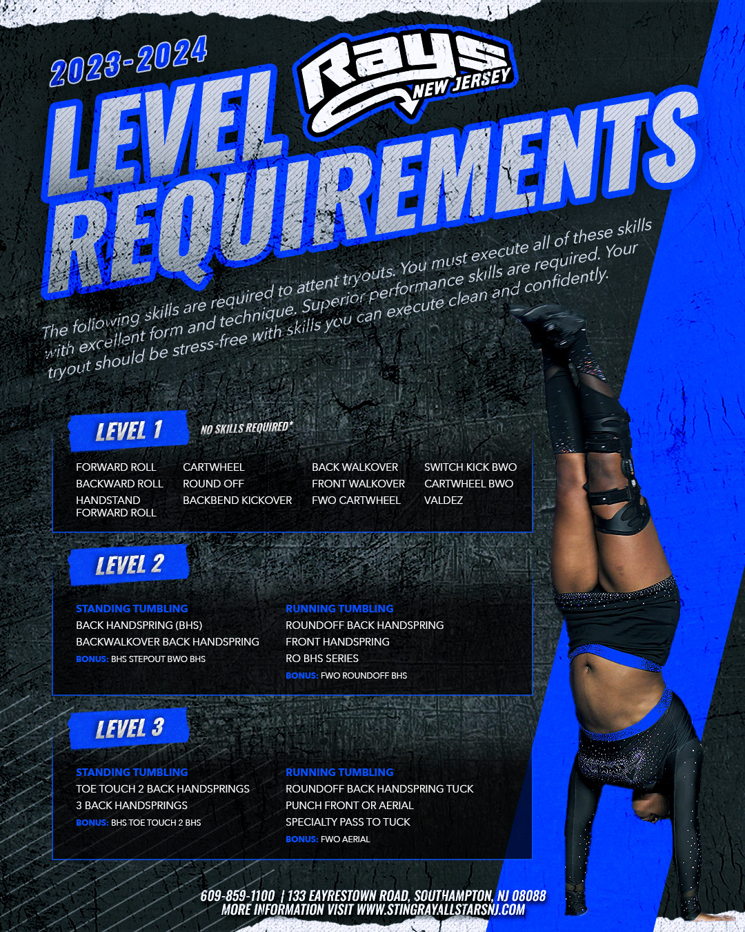Stingrays-Level-Requirements-L1-3-v2